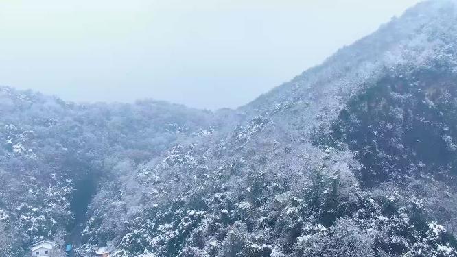 杭州玉皇山八卦田遗址公园雪景