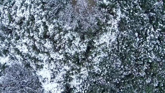 杭州玉皇山八卦田遗址公园雪景