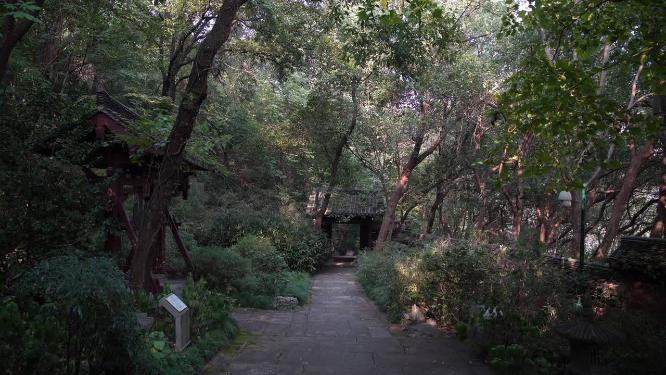 杭州玉皇山天龙寺文物保护单位实拍视频