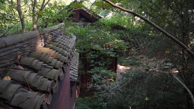 杭州玉皇山天龙寺文物保护单位实拍视频