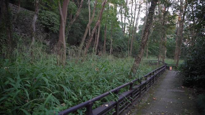 杭州玉皇山吴越郊坛遗址实拍视频