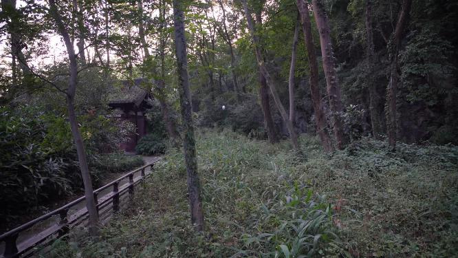 杭州玉皇山吴越郊坛遗址实拍视频