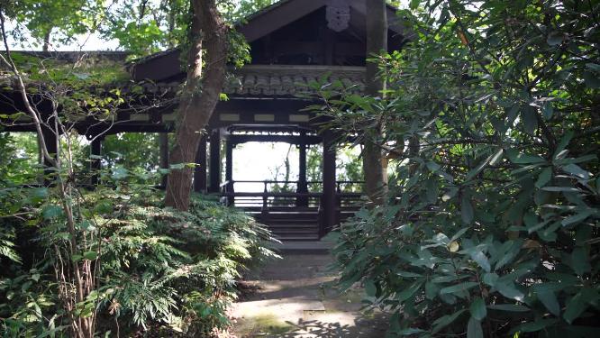 杭州玉皇山吴越郊坛遗址实拍视频