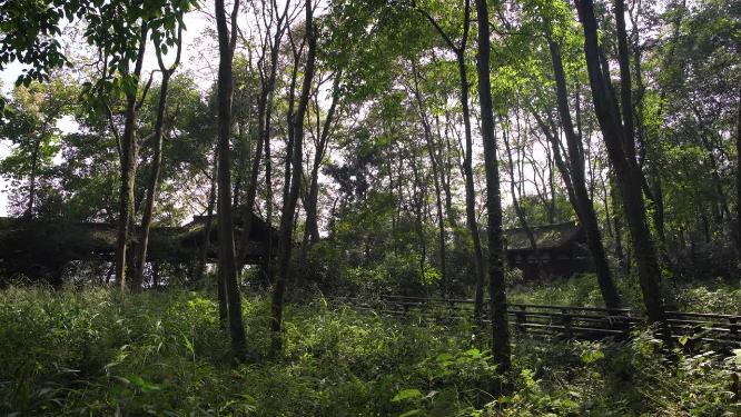 杭州玉皇山吴越郊坛遗址实拍视频
