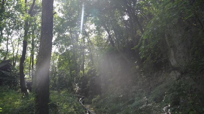 杭州玉皇山吴越郊坛遗址实拍视频
