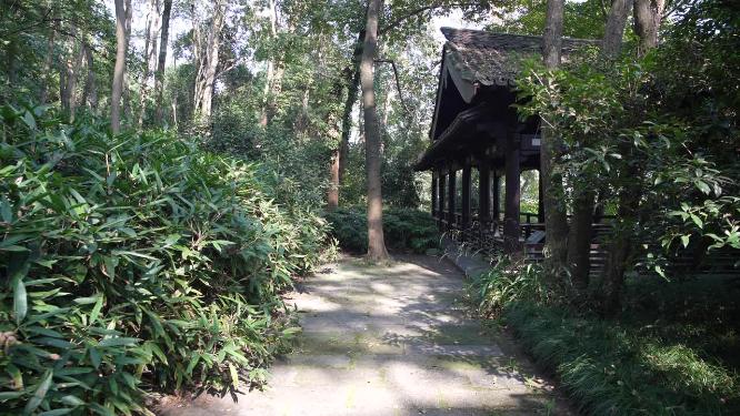 杭州玉皇山吴越郊坛遗址实拍视频