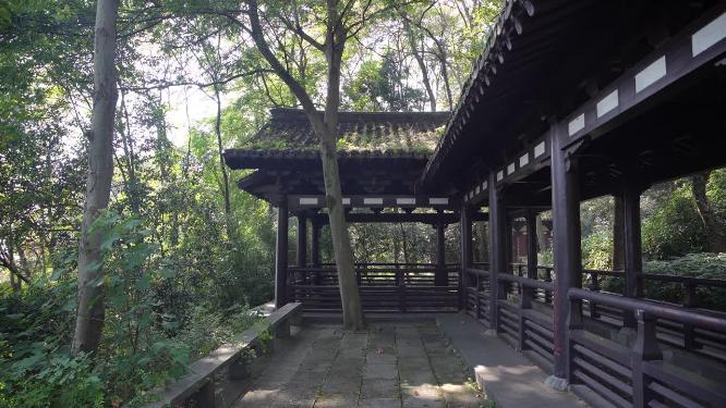 杭州玉皇山吴越郊坛遗址实拍视频