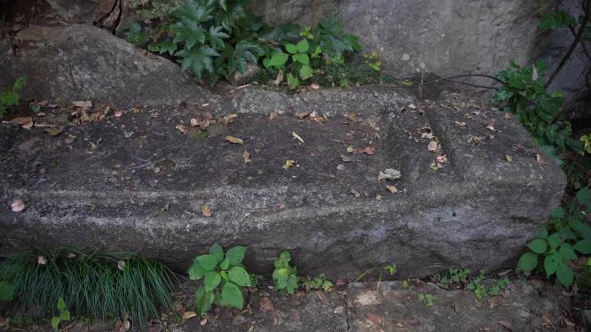 杭州玉皇山吴越郊坛遗址二三台地实拍视频