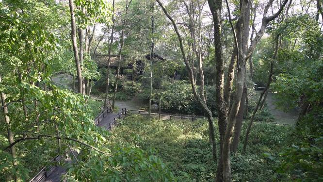 杭州玉皇山吴越郊坛遗址二三台地实拍视频