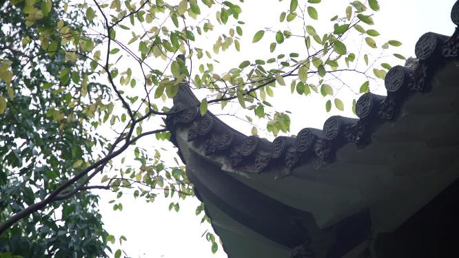 杭州玉皇山七星亭七星缸实拍视频