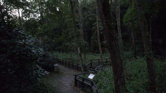 杭州玉皇山吴越郊坛遗址航拍视频