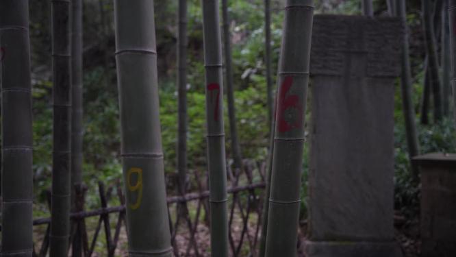 杭州西湖宝石山牛皋墓实拍视频