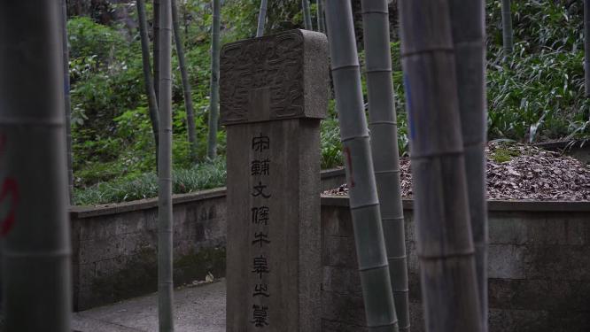 杭州西湖宝石山牛皋墓实拍视频
