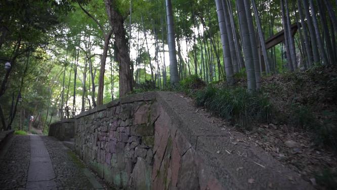 杭州西湖宝石山牛皋墓实拍视频