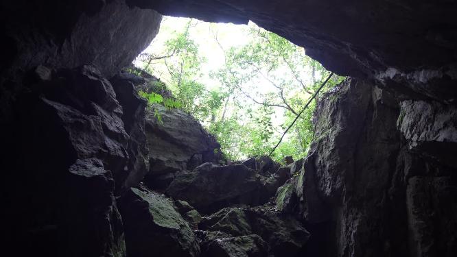 杭州西湖宝石山蝙蝠洞实拍视频
