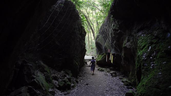 杭州西湖宝石山蝙蝠洞实拍视频