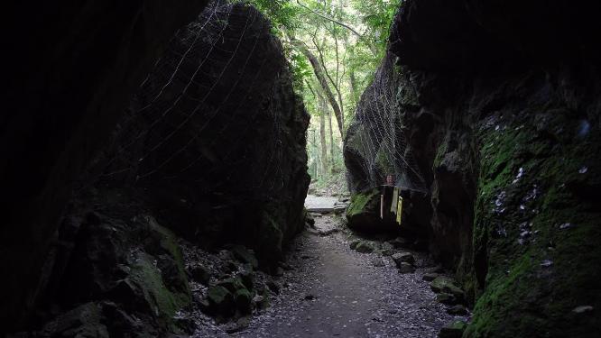 杭州西湖宝石山蝙蝠洞实拍视频