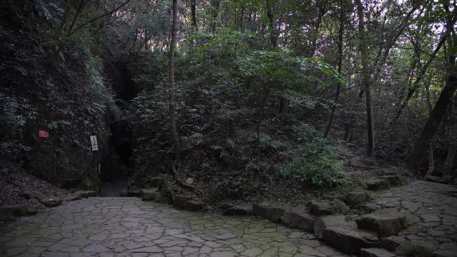 杭州西湖宝石山蝙蝠洞实拍视频