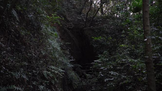 杭州西湖宝石山蝙蝠洞实拍视频