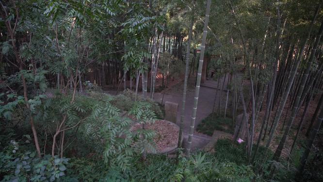 杭州西湖宝石山牛皋墓实拍视频