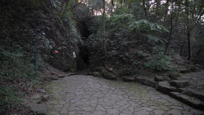 杭州西湖宝石山蝙蝠洞实拍视频