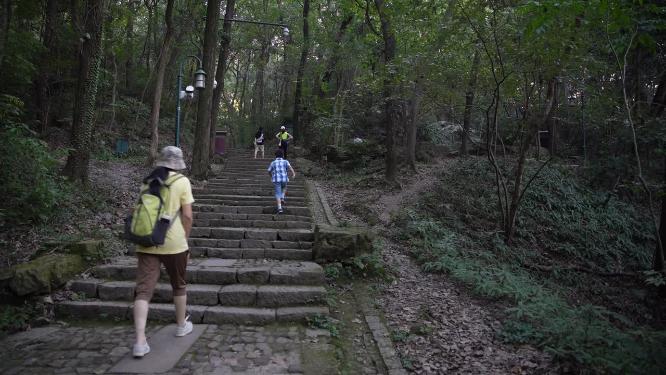 杭州西湖宝石山蝙蝠洞实拍视频