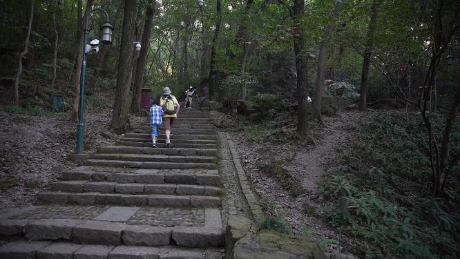 杭州西湖宝石山蝙蝠洞实拍视频