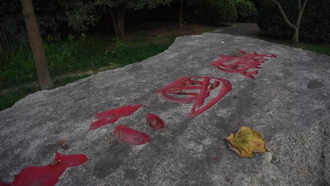 杭州西湖护国仁王寺遗址实拍视频
