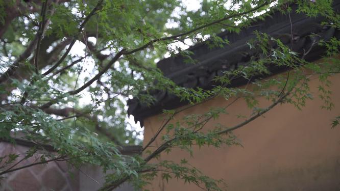 杭州西湖宝石山智果寺旧址实拍视频
