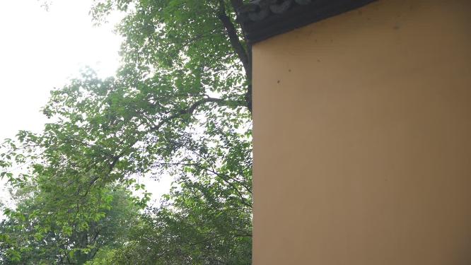 杭州西湖宝石山智果寺旧址实拍视频