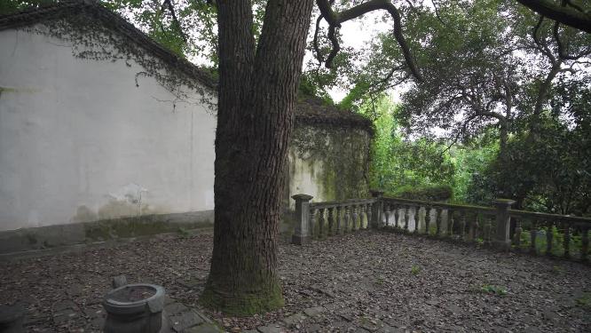 杭州西湖宝石山陈文龙墓实拍视频