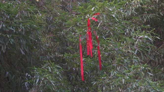 杭州西湖宝石山陈文龙墓实拍视频