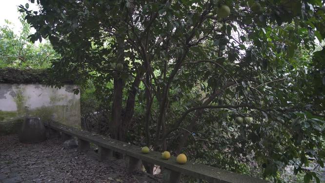 杭州西湖宝石山陈文龙墓实拍视频