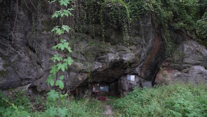 杭州凤凰山凤凰池实拍视频