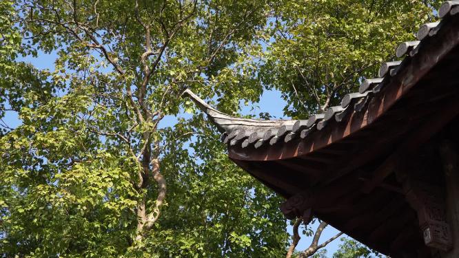 杭州西湖宝石山初阳台实拍视频