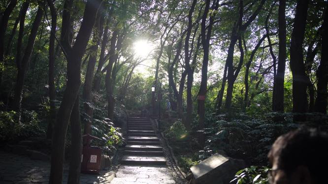 杭州西湖宝石山风景实拍视频