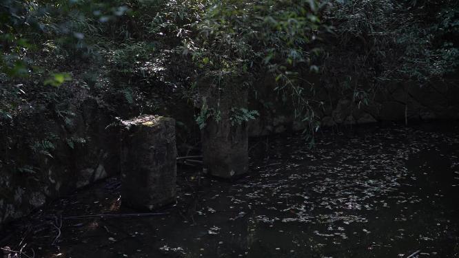 杭州西湖宝石山挂牌山月牙池实拍视频