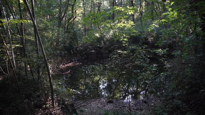 杭州西湖宝石山挂牌山月牙池实拍视频