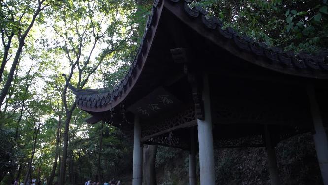 杭州西湖宝石山栖霞洞实拍视频