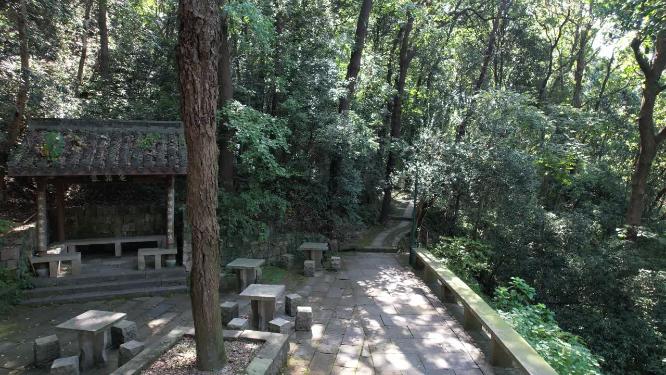杭州西湖宝石山银鼓洞实拍视频