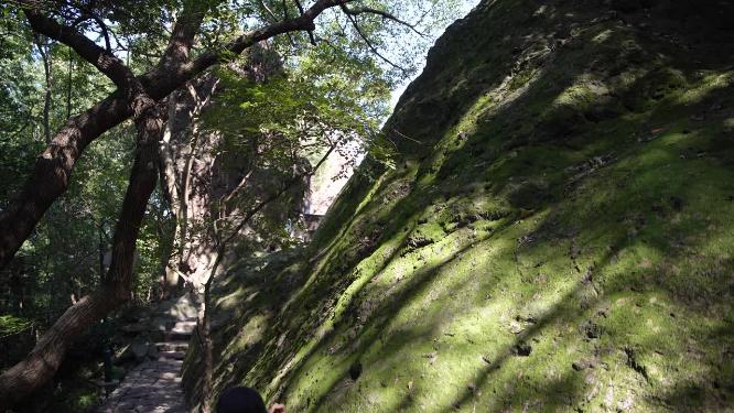 杭州西湖宝石山风景实拍视频