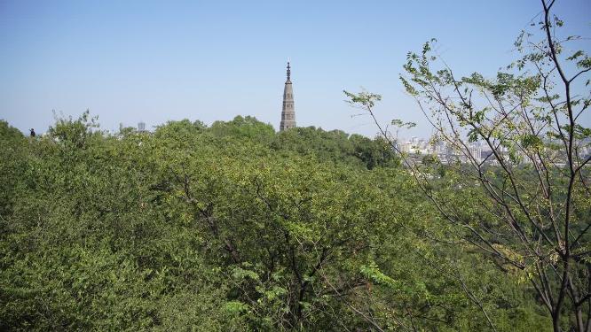 杭州西湖宝石山风景实拍视频