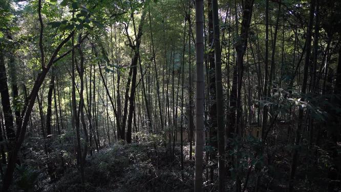 杭州西湖宝石山风景实拍视频