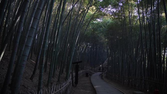 杭州西湖宝石山风景实拍视频