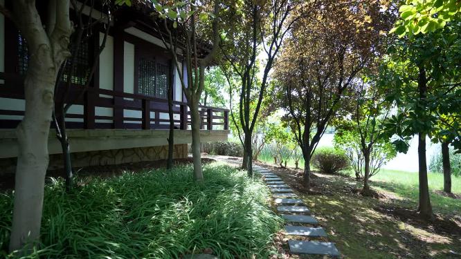 武汉蔡甸区汤湖公园实拍视频