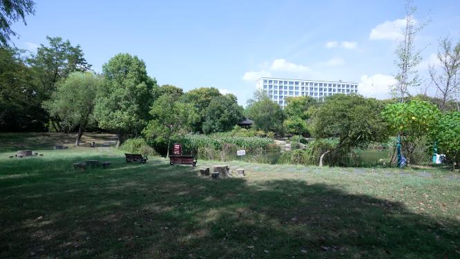 武汉蔡甸区汤湖公园实拍视频