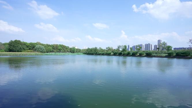 武汉蔡甸区汤湖公园实拍视频