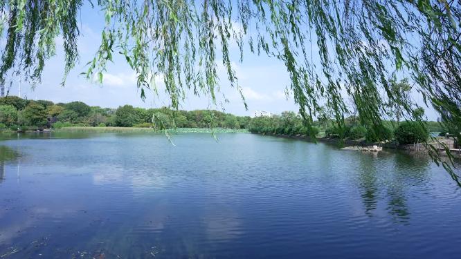 武汉蔡甸区汤湖公园实拍视频