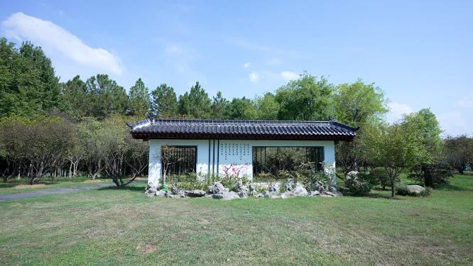 武汉蔡甸区汤湖公园实拍视频