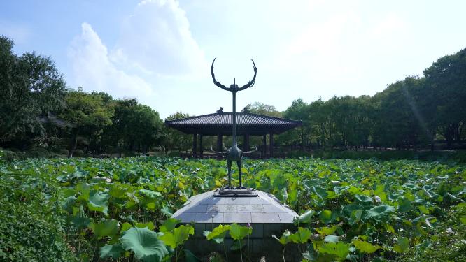 武汉蔡甸区汤湖公园实拍视频